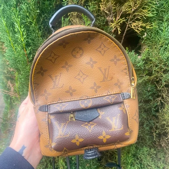 Louis Vuitton | Bags | Rare Louis Vuitton Palm Springs Mini  display picture 2